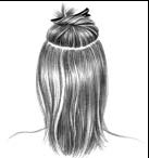 extensions step 1