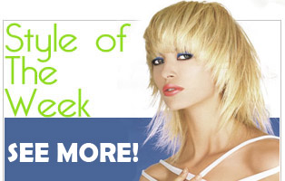 style of the week