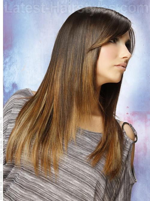 long-sleek-brunette-hair-side-view-63 A long sleek brunette hair color and style side view