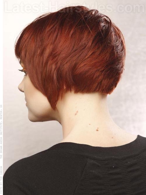 Convex Layered Bob Auburn Choppy Cut Bangs Back View