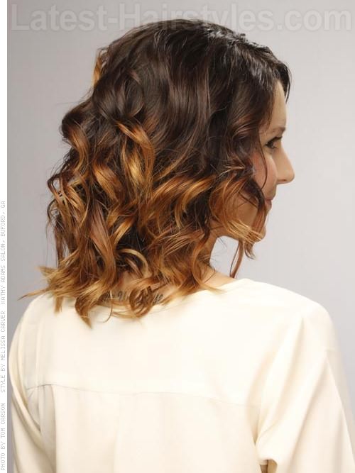 rich ombre highlights medium wavy style back view 