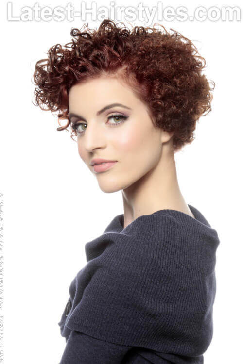 Natural Curly Hairstyle with Texture Best Natural Curly Hairstyle with Texture