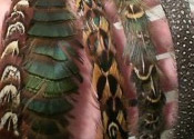 3waysflaunthairfeatherfeatured