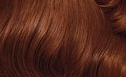 Auburn Brown Hair Color Chart