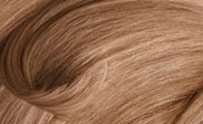 شامپاین نمودار رنگ مو clairol