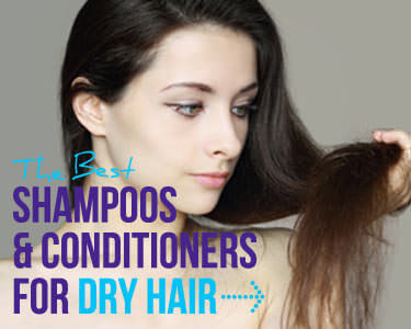 d intend it would live obvious if your pilus is dry out or non Our Top Picks: The Best Shampoos in addition to Conditioners for Dry Hair