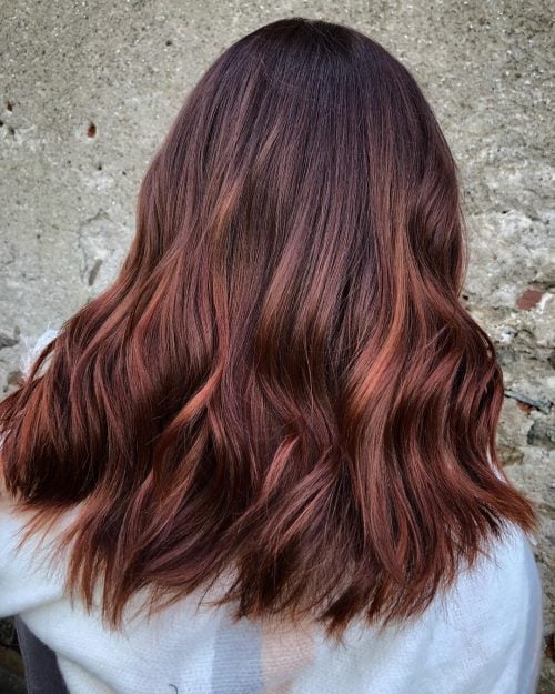 Chestnut Color Hair Color Chart