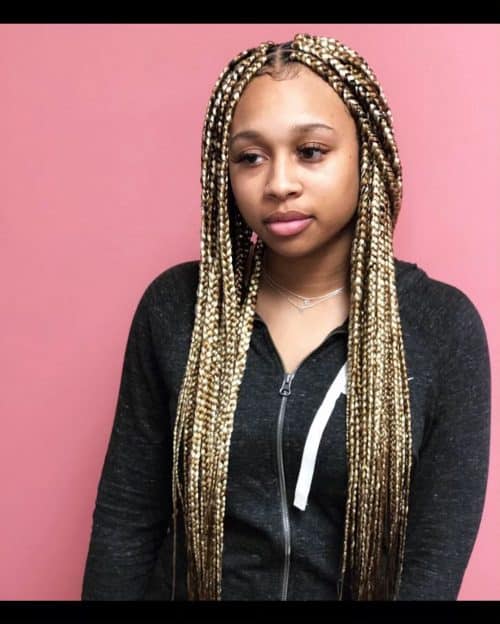 15 Hottest Blonde Box Braids To Try In 2020