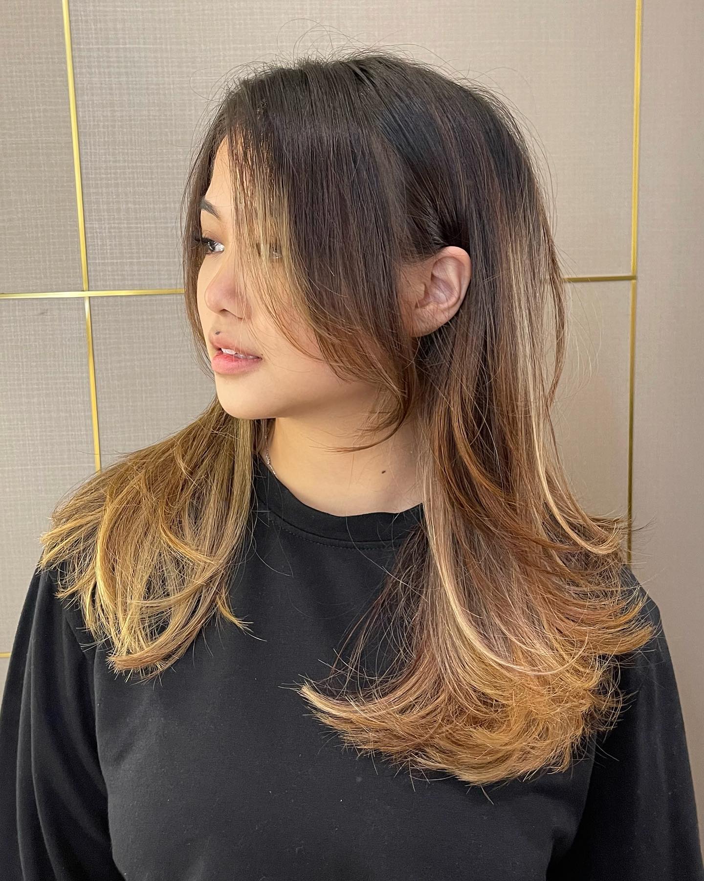 Beautifully Layered Hush Cut with Subtle Ombre