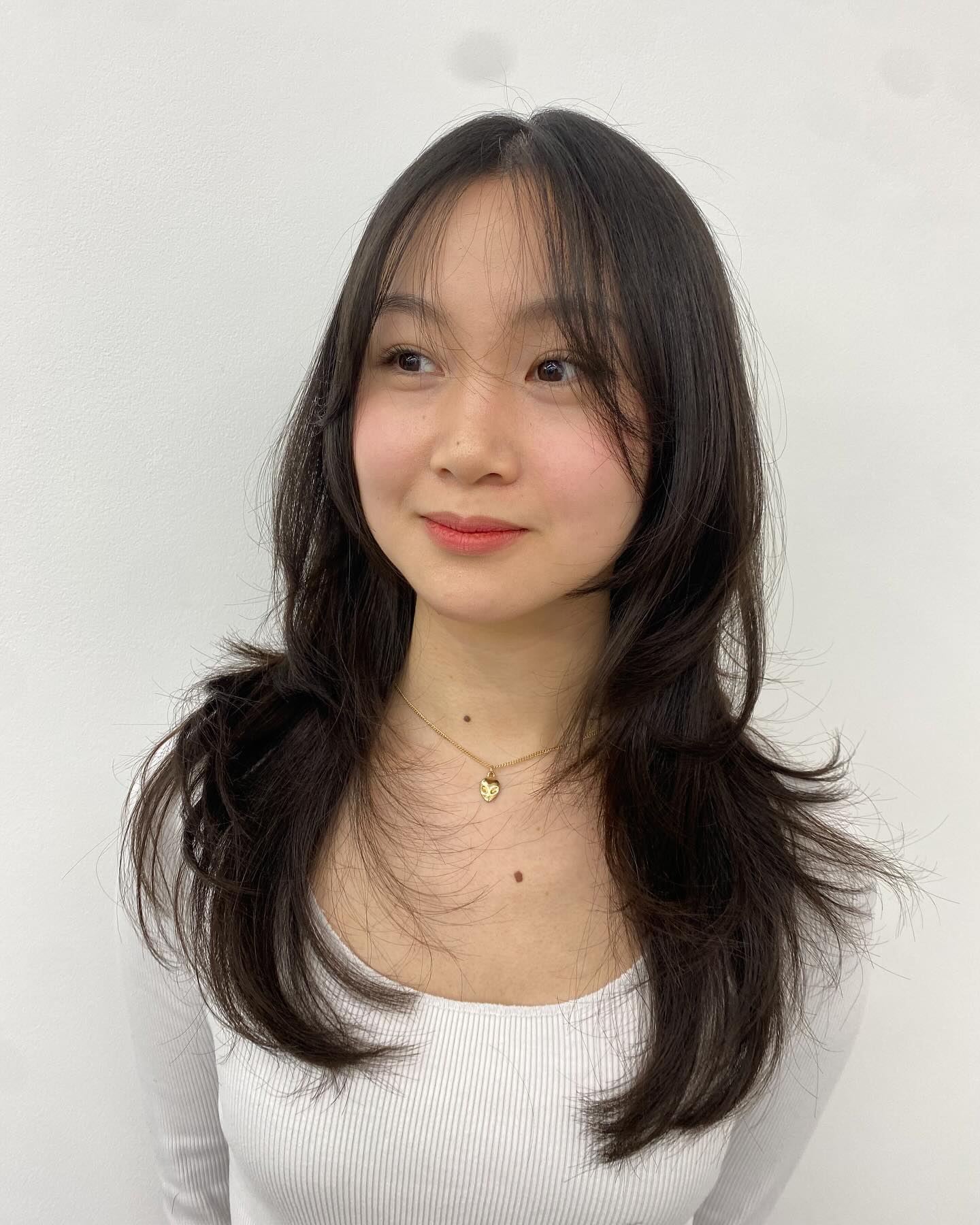 Chic Layered Hush Cut with Soft Curtain Bangs