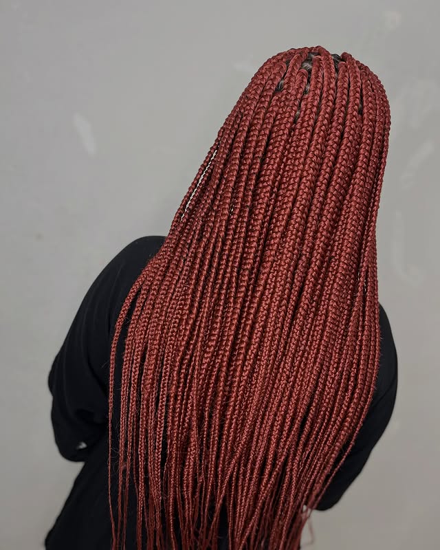 Long Burgundy Box Braids with Glossy Finish