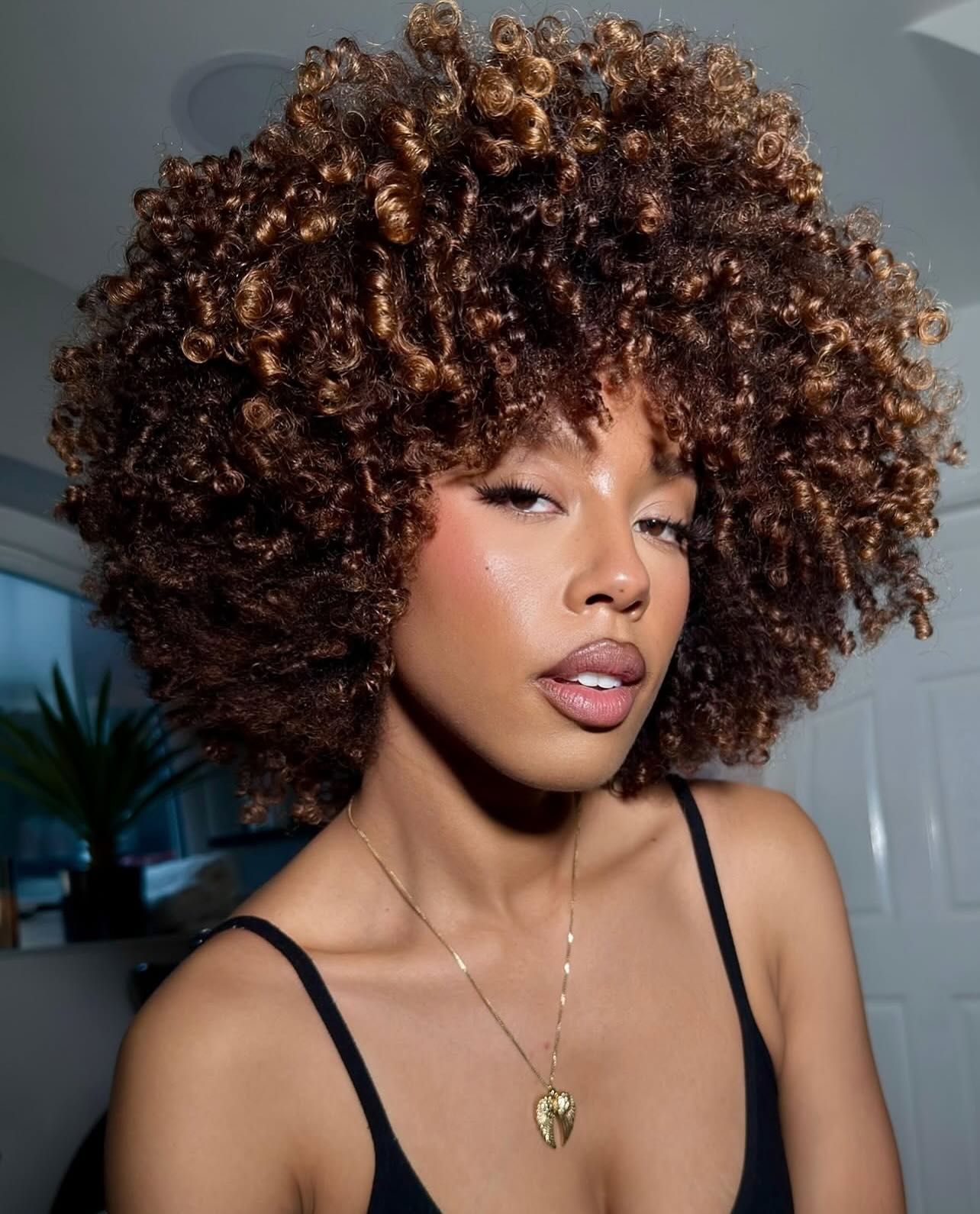 Bold Curly Afro with Dynamic Highlights