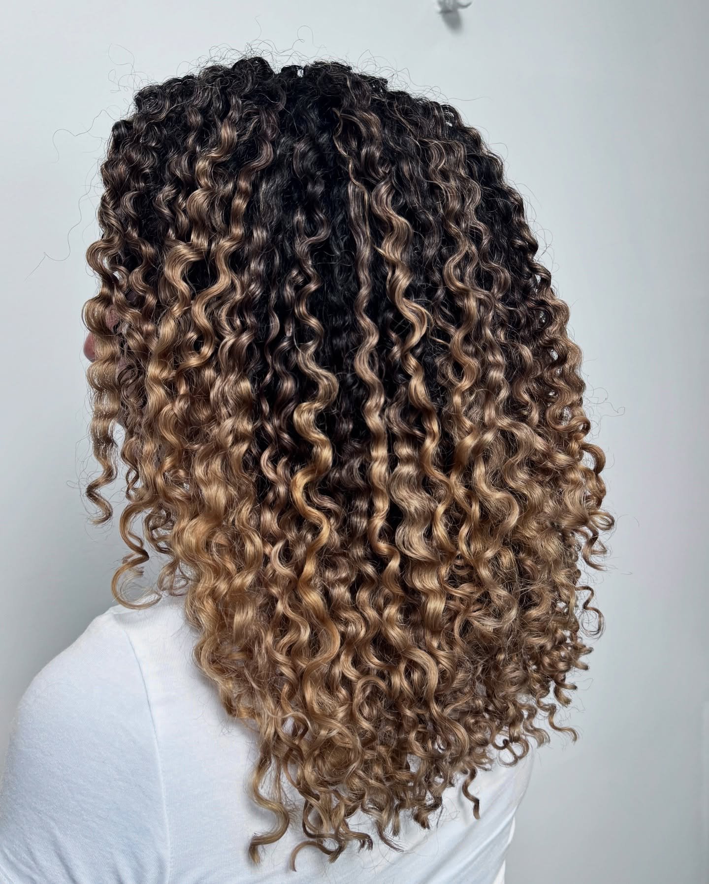Dynamic Curly Ombre with Defined Curls