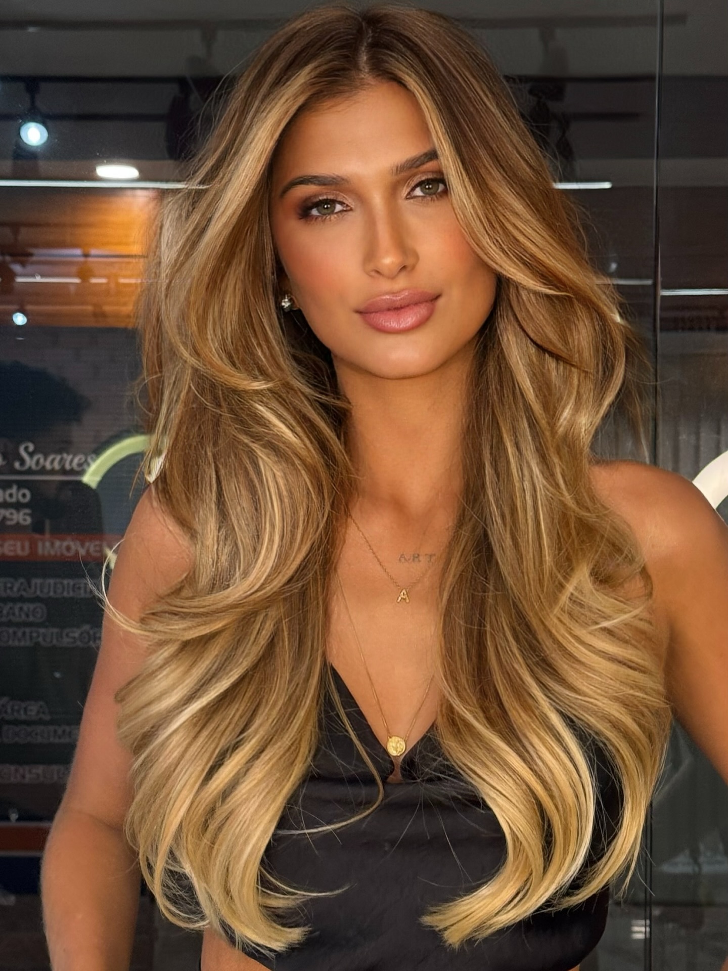 Beautiful Long Layered Hair with Sun-Kissed Highlights