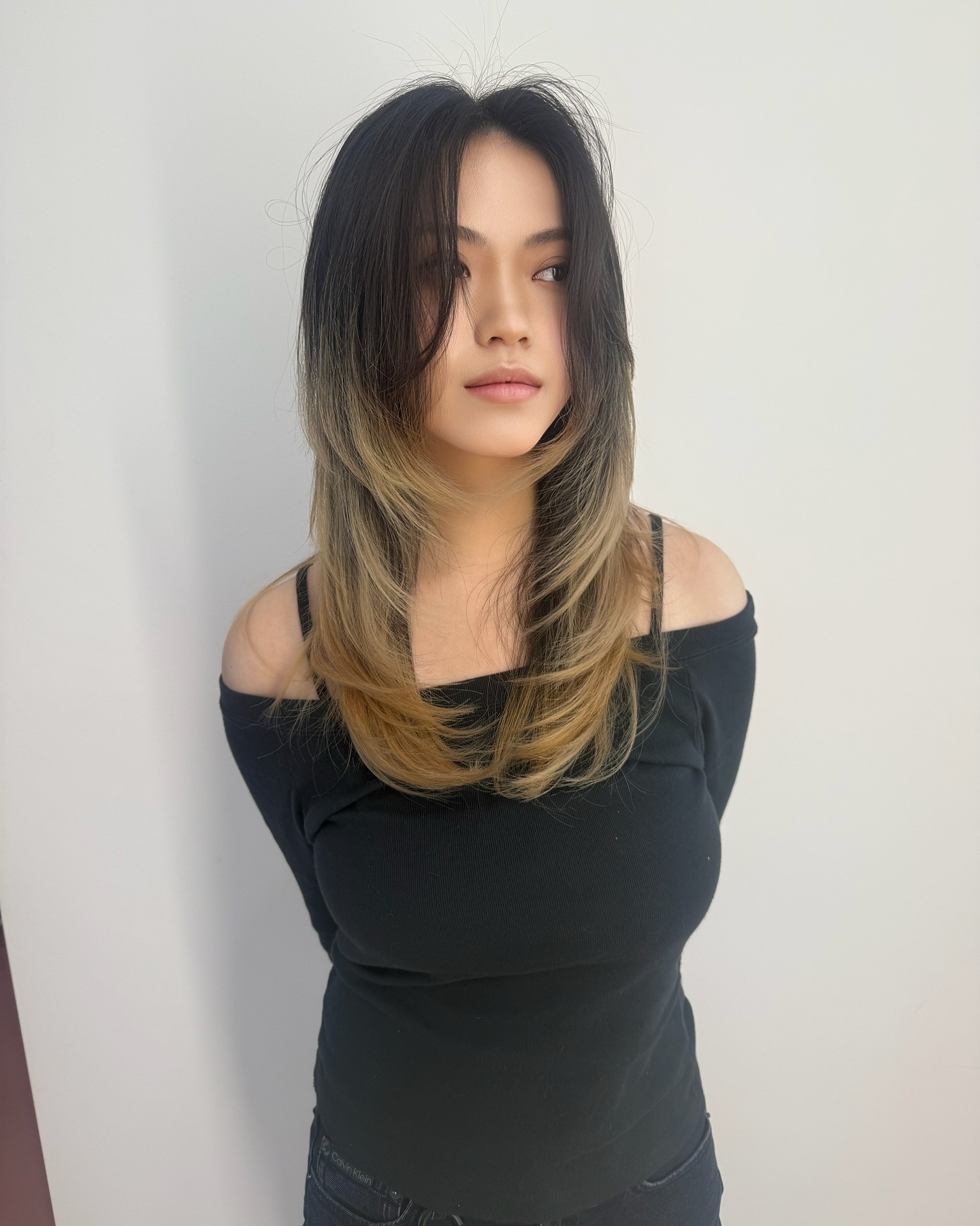 Stylish Long Layered Cut with Subtle Ombre Highlights