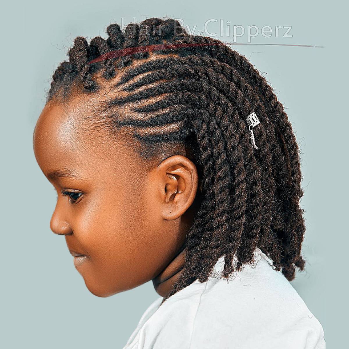 Image of Updo braids black girl hairstyle