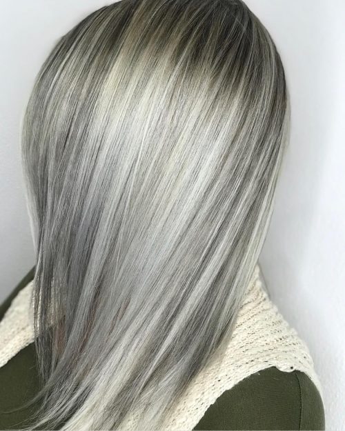 Platinum Hair Color Chart