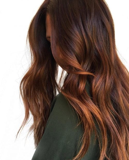  Fall is ever a fun fourth dimension of twelvemonth to accept inspiration from the changing colors as well as the de These eleven Fall Hair Color Trends are This Year’s Most Popular