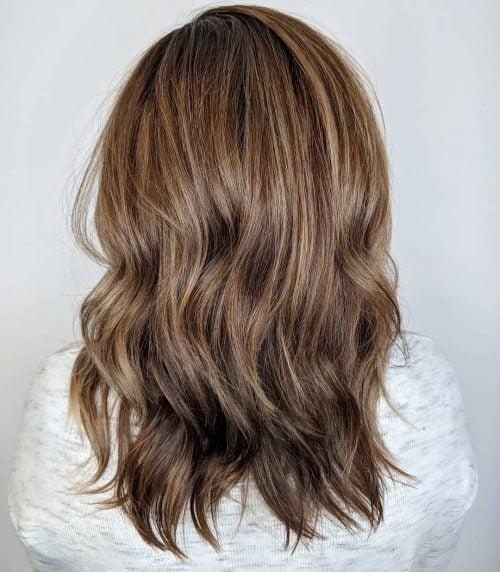 Mushroom Brown Hair with Subtle Highlights